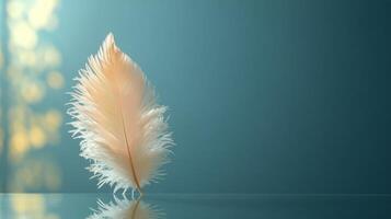 A white feather on a table with a blue background photo