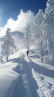 A person is skiing down a snowy slope photo