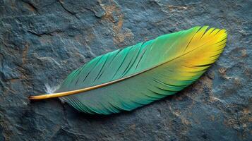 A green and yellow feather on a stone surface photo