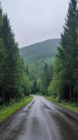 A wet road surrounded by trees in the forest photo