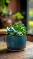 A small plant in a blue pot on a table photo