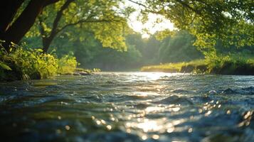A river flowing through a forest with trees photo