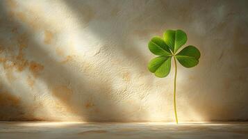 A single green clover leaf is shown in front of a wall photo
