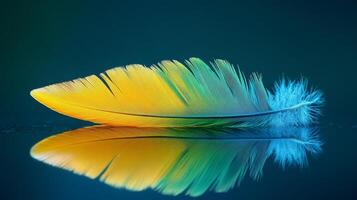Brightly colored feather with reflections on a dark background showcasing nature's beauty photo