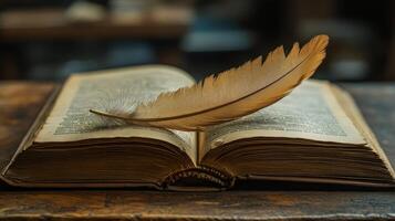 A feather is resting on top of an open book photo