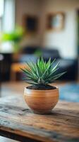 A succulent plant in a wooden pot on a table photo