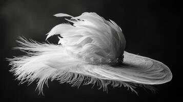 A black and white photo of a white hat with feathers