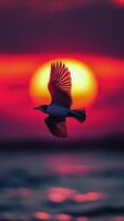 A bird flying over the ocean at sunset photo