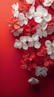 Cherry blossom background with red and white flowers photo