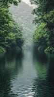 A river surrounded by trees and green vegetation photo