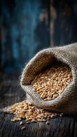 Wheat in a sack on a wooden table photo