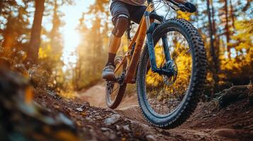 Mountain biker navigating through a dense forest trail with speed and precision in the autumn season photo