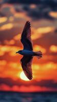 Seagull soaring against a vibrant sunset over the ocean waves photo