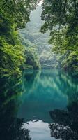 A lake surrounded by trees and green vegetation photo