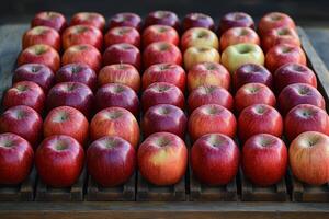 A wooden table with apples photo