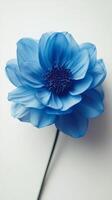 A blue flower is shown on a white background photo