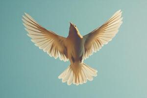 A white bird flying in the air with its wings spread photo