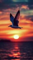 A seagull flying over the ocean at sunset photo