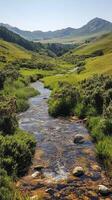 A stream runs through a grassy field with hills in the background photo