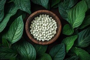 A bowl of white beans surrounded by green leaves photo