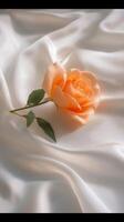 Beautiful orange rose on silk fabric with delicate folds and soft lighting photo