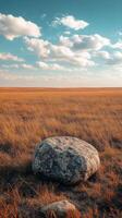 Large boulder in a golden grassland under a bright blue sky with soft clouds during the afternoon photo