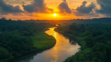 A river runs through a lush green forest at sunset photo