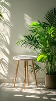 Elegant green tropical plants beside a white round table in a minimalist interior setting photo