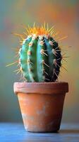 A cactus plant in a pot on a table photo