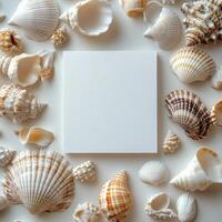 Display of various seashells surrounding a blank canvas on a light surface photo