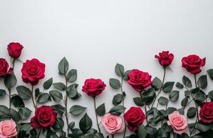 Roses arranged in a symmetrical pattern with green leaves against a minimalist background photo
