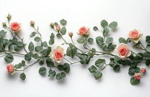 Roses with green leaves arranged in a decorative pattern on a white background photo