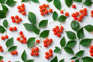 Bright red berries and green leaves arranged on a white background for a vibrant still life photo