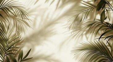Shadows of palm leaves creating a tranquil ambiance in soft lighting photo