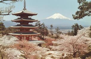 Cherry blossoms bloom near a pagoda with Mount Fuji in the background during springtime photo