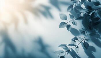 Soft blue shadows cast by leaves on a light background with natural light streaming in photo