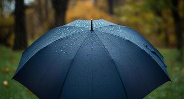 Dark umbrella with raindrops under trees in autumn landscape photo