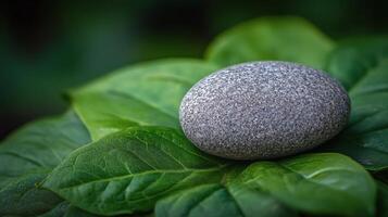 Elegant black stones and a fresh green leaf with water droplets showcasing nature's simplicity photo