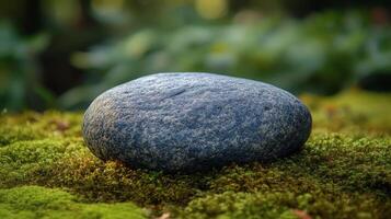 A stone is sitting on top of a green moss covered area photo