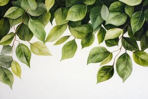 A painting of green leaves on a white wall photo