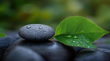 A stone with water drops on it and a leaf photo