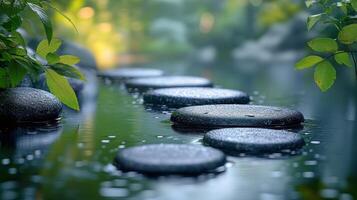 Stepping stones in water with green plants photo