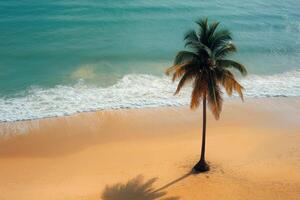 A lone palm tree on a sandy beach photo