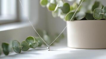 A small silver necklace sits on a table next to a plant photo