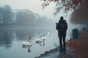 A person standing near a river with swans photo