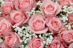 A bouquet of pink roses is shown in this photo