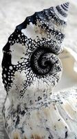 A black and white shell with a spiral pattern photo