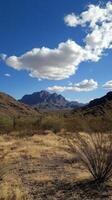 A desert landscape with mountains and cactus photo