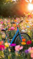 A blue bicycle is parked in a field of flowers photo