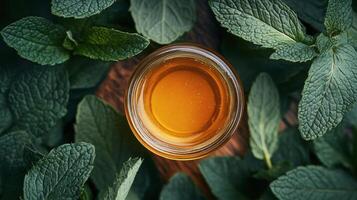 A jar of honey sitting on top of green leaves photo